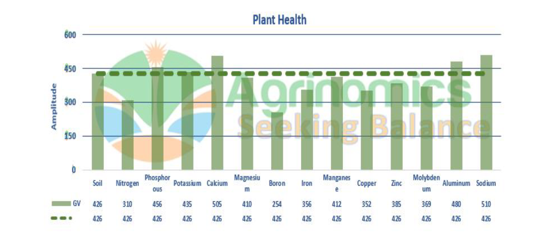 plant health